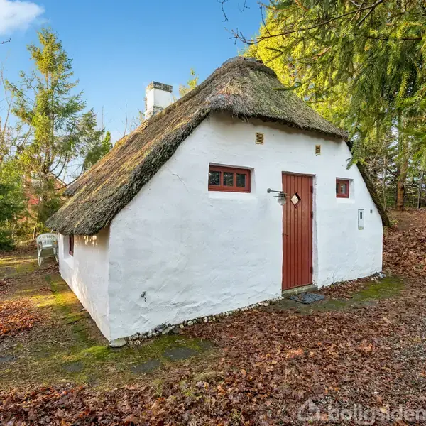 Hvidt hus med stråtag står stille omgivet af træer og visne blade på jorden. En rød dør og små vinduer pryder facaden. En grussti fører til huset.