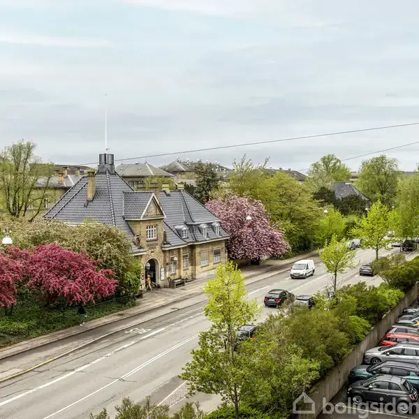 En vej løber mellem grønne træer og en parkeringsplads med farverige biler. En bygning med gråt tag ligger ved vejkanten omgivet af blomstrende træer. Ingen tekst er synlig.