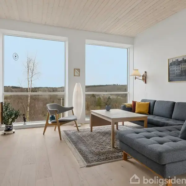 En stue med en grå, hjørnesofa står på et tæppe ved et træsofabord. Store vinduer viser en skovudsigt. Rummet har også et TV, en lampe og dekorationer.