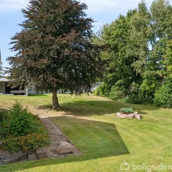 Et stort træ står stille i en velplejet græsplæne, omkranset af forskellige buske og sten. Til venstre kan man se en del af et hus i mursten.