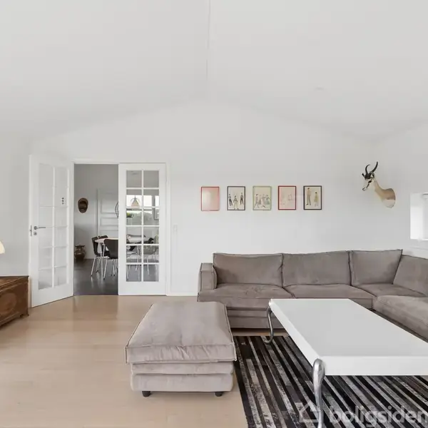 Grå sofa i vinkel står mod en hvid væg, dekoreret med billeder og en dyreudstoppet hoved. Et kaffebord foran sofaen, omgivet af minimalistisk boligindretning med skind på væggen.