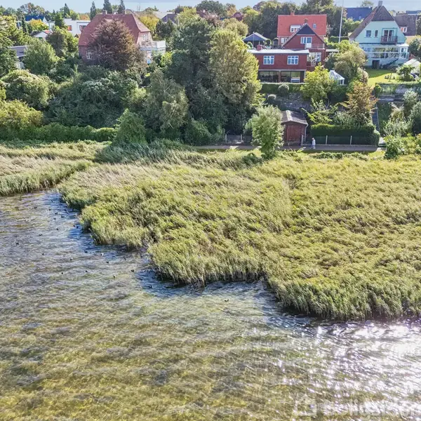 Vandstrækning med siv vokser langs bredden, mens huse med røde tage ligger i baggrunden omgivet af tæt bevoksning og træer, hvilket skaber en fredelig, naturskøn atmosfære.