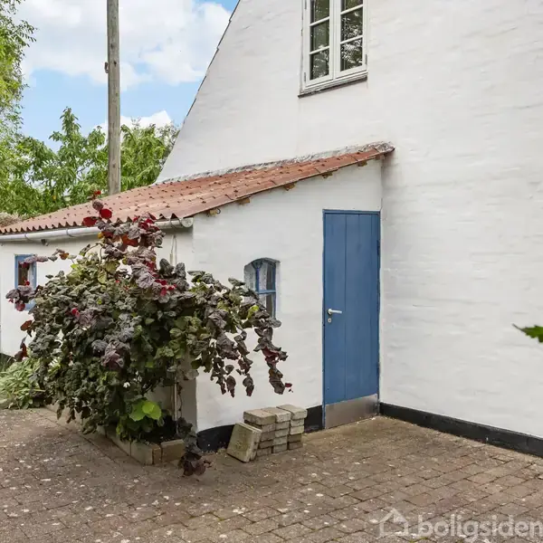 Hus med hvid murstensfacade og blå dør, omgivet af tæt beplantede buske i gårdmiljø med brolagt belægning. En lille bygning med redt tag ved siden af hovedbygningen.