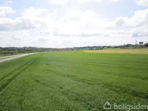 Grønt græsmark landskab strækker sig mod horisonten, omkranset af en vej til venstre, mens himlen er overskyet med spredte skyer i baggrunden.