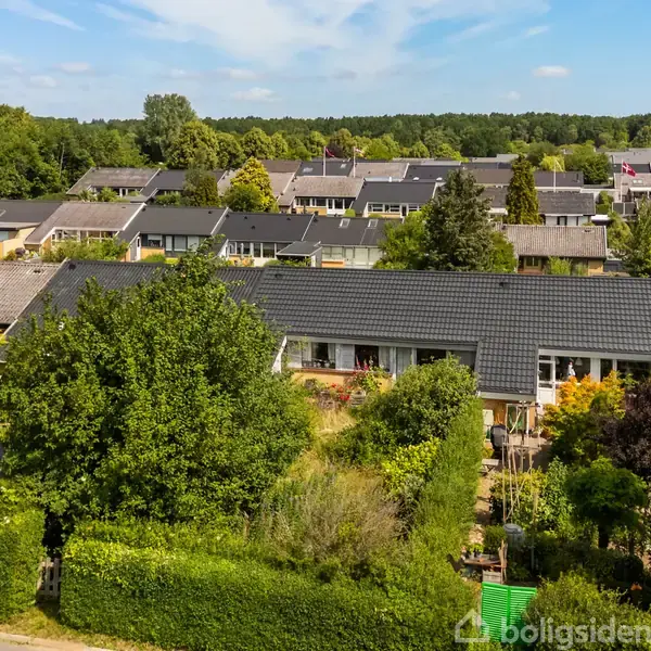 En række af rækkehuse omgivet af frodige haver, med tæt bevoksning og forskellige træer, i en forstad med skov i baggrunden under en klar blå himmel.