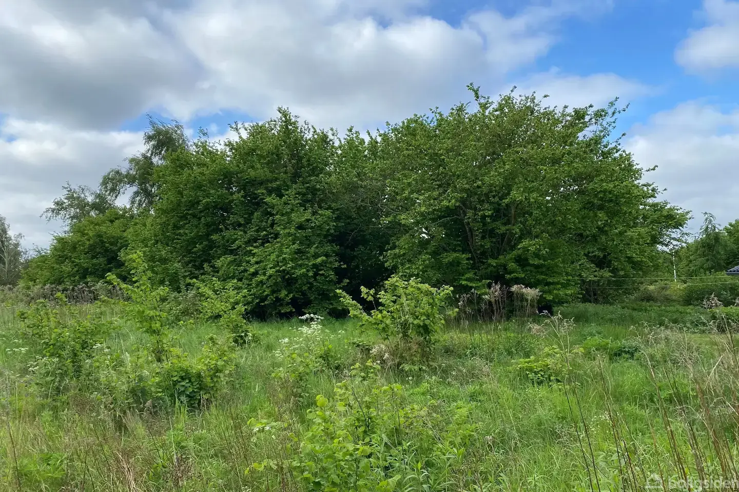 Fritidsgrund på Slåenvej 9, 4720 Præstø