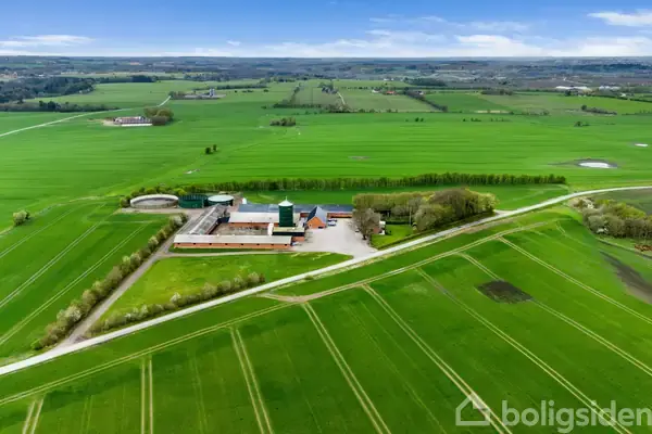 Svinegård/-jord på Horsdalvej 32, 8800 Viborg