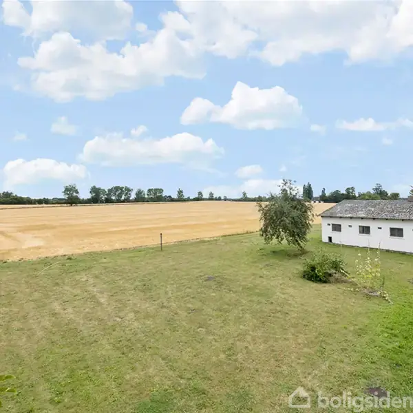 En græsplæne strækker sig foran en gul kornmark med en klar blå himmel og hvide skyer ovenfor. En hvid bygning med sort tag står til højre.