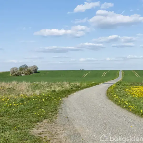 En landevej strækker sig gennem et grønt landskab med marker og spredte skyer på himlen. Gulblomstrede græsarealer flankerer vejen. Tæt på horisonten ses et lille skovområde.
