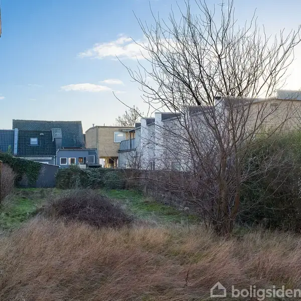 En tom grund med en ensom busk i midten er omgivet af højt græs og en lav hæk i et boligområde med to-etagers huse i baggrunden.