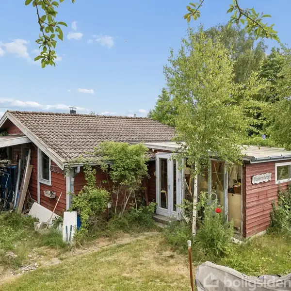 Rødt træhus står i en overgroet have med græs og buske omkring. Vinduerne er delvist tildækkede, og flere genstande ligger tæt ved huset. Solen skinner fra en blå himmel med få skyer.