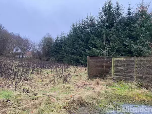 Græsmark med spredt bevoksning og en træplankehegn til højre. Tykke fyrretræer dominerer baggrunden under en grå himmel.