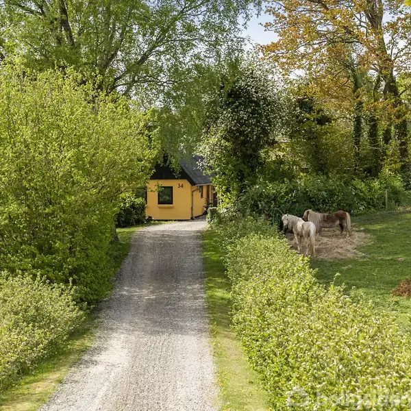 Et gult hus ligger i slutningen af en grusvej omgivet af grønne træer og buske. To heste græsser på et græsareal til højre for vejen.