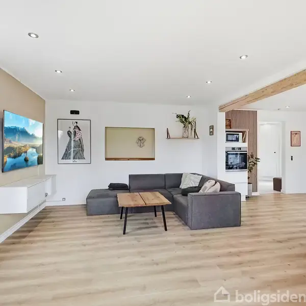 En grå sofa står i en stue med trægulv. Et fladskærms-TV hænger på væggen til venstre. Kunst og planter pynter væggene. Væggene er hvide, og der er spotlys i loftet.