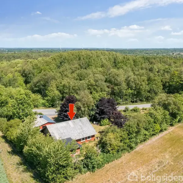 Et hus er delvist skjult af tætte træer og buske. En rød pil peger på hustaget. En vej løber forbi huset, med skovklædt landskab i baggrunden.