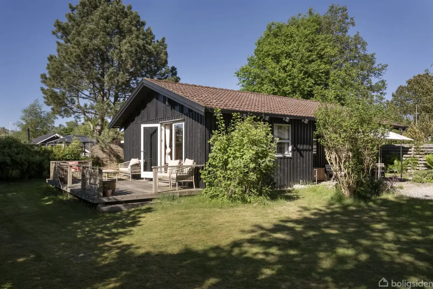Mellem fyrretræer og sommerdage