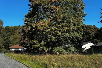 Helårsgrund på Skovsøvej 1, 8654 Bryrup
