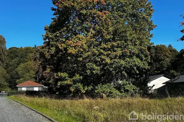 Helårsgrund på Skovsøvej 1, 8654 Bryrup