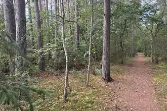 Fritidsgrund på Odde Naturpark 66, Helberskov, 9560 Hadsund