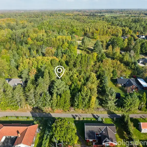 En skov med tæt træbevoksning indikeret af en hvid markør, omgivet af et boligområde med huse med røde tage. Skoven strækker sig over et stort område.