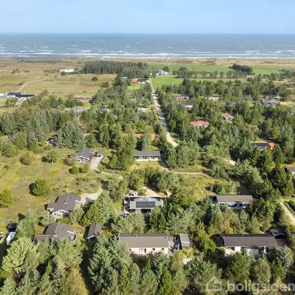 Flere huse ligger spredt blandt tætte træer i et skovområde. De danner en fredelig beboelse med en vej, der snor sig gennem landskabet.