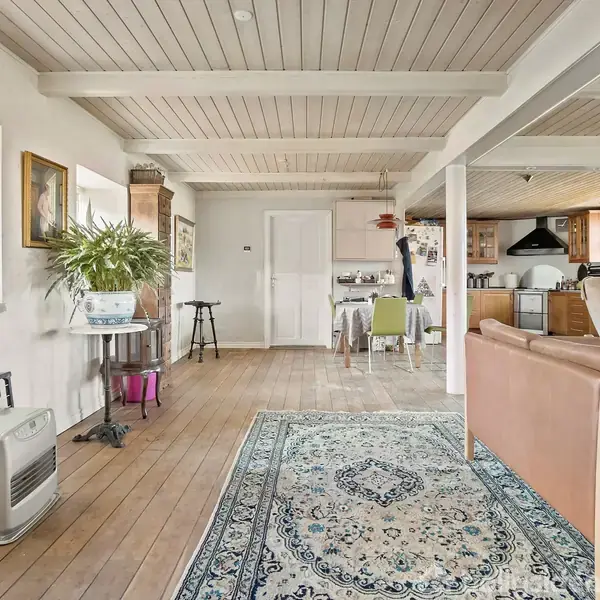 Stue med sofa og orientalsk tæppe på trægulv. Spisebord i baggrunden. Plante ved vindue. Åben køkkenindretning med træskabe. Lysindfald fra store vinduer.