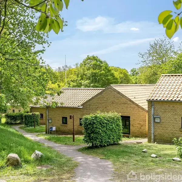 Flere enfamiliehuse med gule mursten står stille langs en sti. Stien er omgivet af grønne træer og græs. Sollys skinner gennem træernes blade.