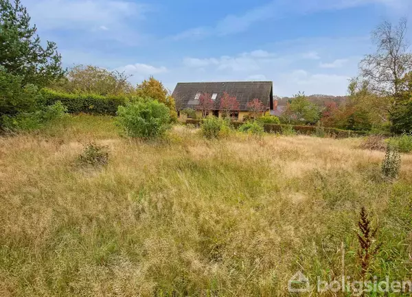 Et hus med mørkt tag står bag en stor mark med højt græs. Omgivelserne består af træer og buske under en blå himmel.