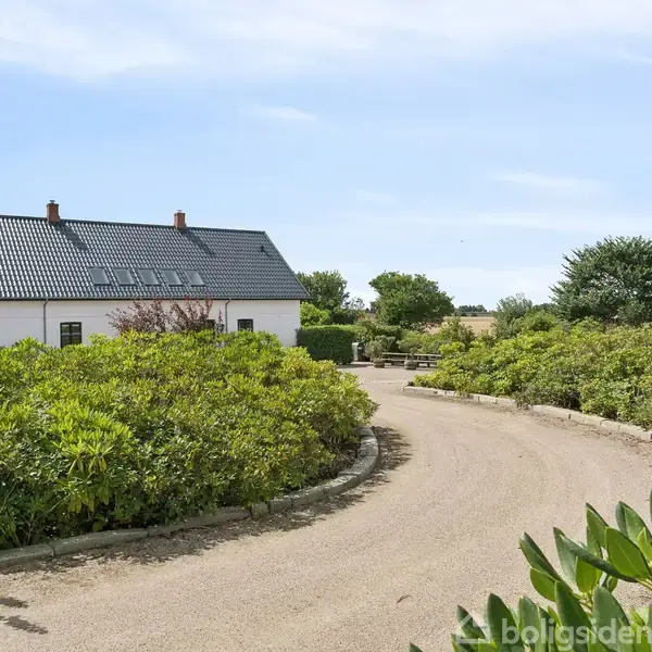 Et hvidt hus med sort tag står blandt frodige buske. En grusvej slanger sig foran huset. I baggrunden ses marker og træer under en klar blå himmel.