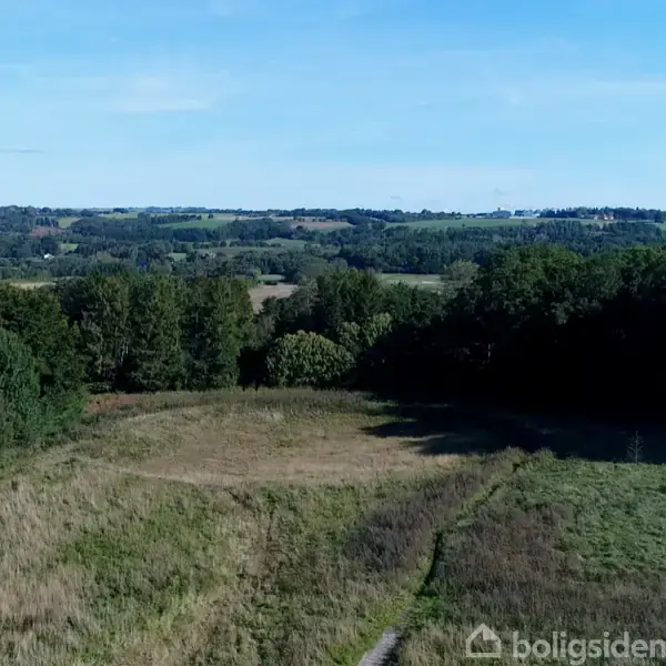 Græsmark strækker sig gennem kuperet landskab, omgivet af tæt skov og fjern horisont under en klar blå himmel.