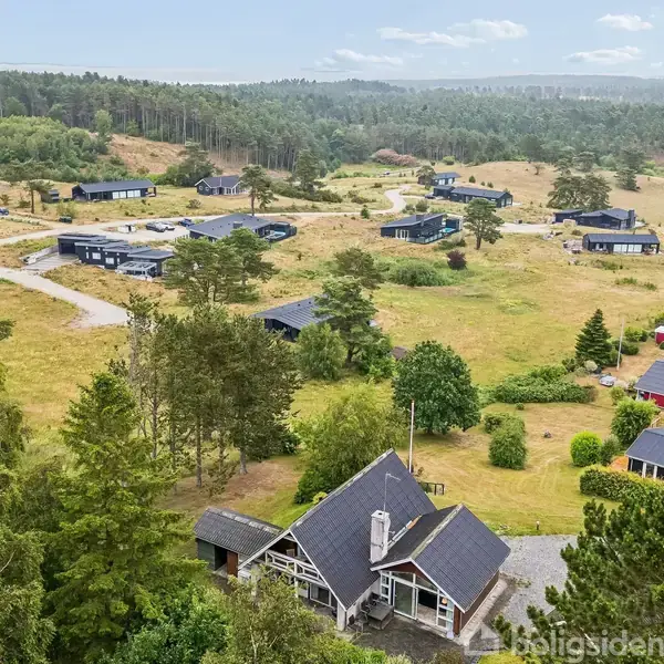 Hus med sort tag ligger blandt træer i et åbent landskab, omgivet af flere andre huse. Skov ses i baggrunden under en blå himmel.