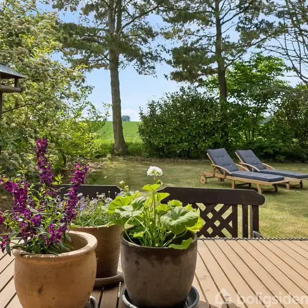 Blomster i potter står på et træterrassebord. I baggrunden ses liggestole under træer i en solrig have omgivet af buske og træer.