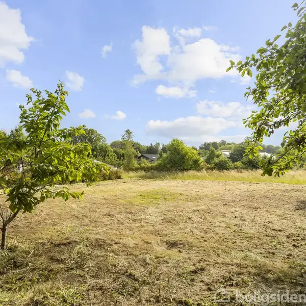 En ensom, lille træ står på en åben græsmark med trimmet græs. I baggrunden ses træer og buske under en blå himmel med skyer.