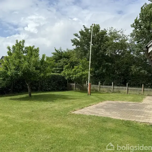 Græsplæne med et enkelt træ står stille ved siden af en flisebelagt terrasse. I baggrunden ses en lav hæk og et træ; huset er delvist synligt til højre.