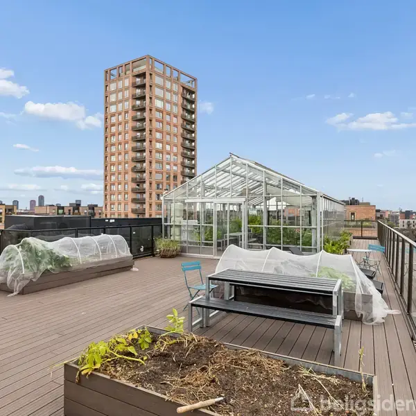 Drivhus på tagterrasse, omgivet af plantekasser og møbler, med en stor byudsigt af højhuse i baggrunden under en blå himmel.