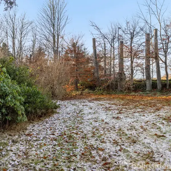 En grusvej er belagt med let sne og omgivet af træer og buske. Nogle træer står uden blade, mens stedsegrønne buske tilføjer grønne nuancer til det vinterlige landskab.