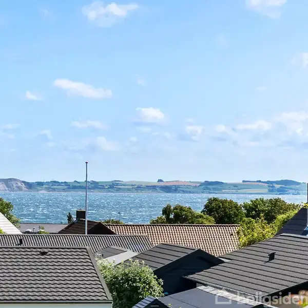 Tagtoppe strækker sig mod en blå himmel med spredte skyer, mens en sølig udsigt med bølgende vand og klipper ses i baggrunden.