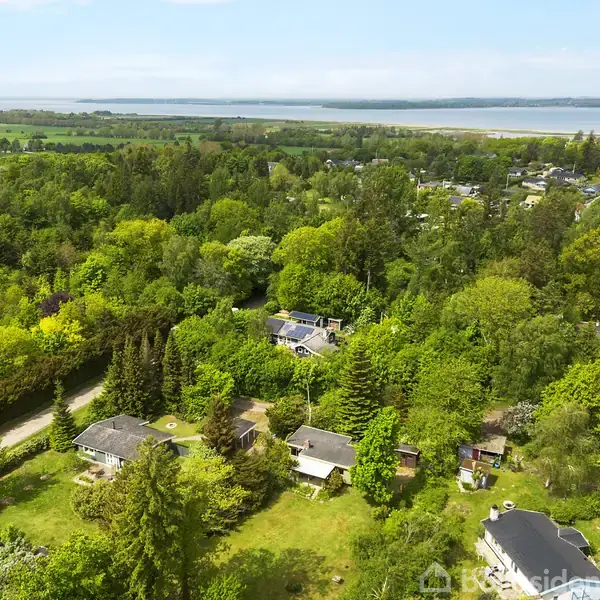 Huse spredt blandt frodig skov; nogle har flade tage. Området er omgivet af grønne marker, med havet i horisonten. Stemningen er fredelig og landlig.