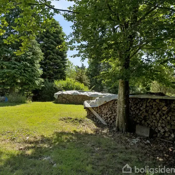 Brændestabel dækket med presenning ligger under et træ i en solrig have. Omgivet af flere større træer og græsplæne.