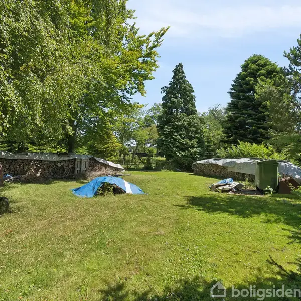 Græsplæne prydet med stabler af brænde til venstre og overdækkede bunker mod højre, omgivet af tætbevoksede træer, under en klar blå himmel.