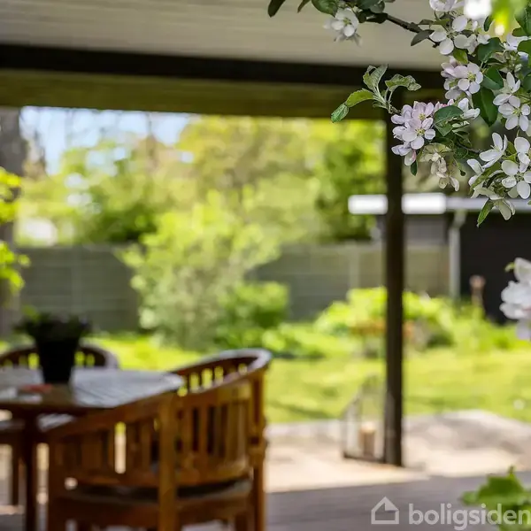 Blomstrende grene hænger tæt på en hyggelig terrasse med træmøbler, dækket af et halvtag, omgivet af en frodig have med grønne buske og træer i baggrunden.