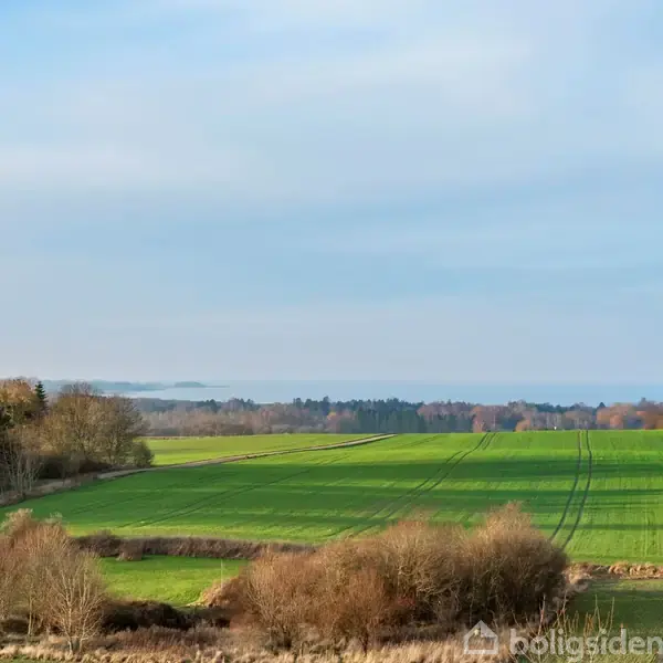 En grøn mark strækker sig hen over et åbent landskab, mens skove og træer omkranser området under en lyseblå himmel.