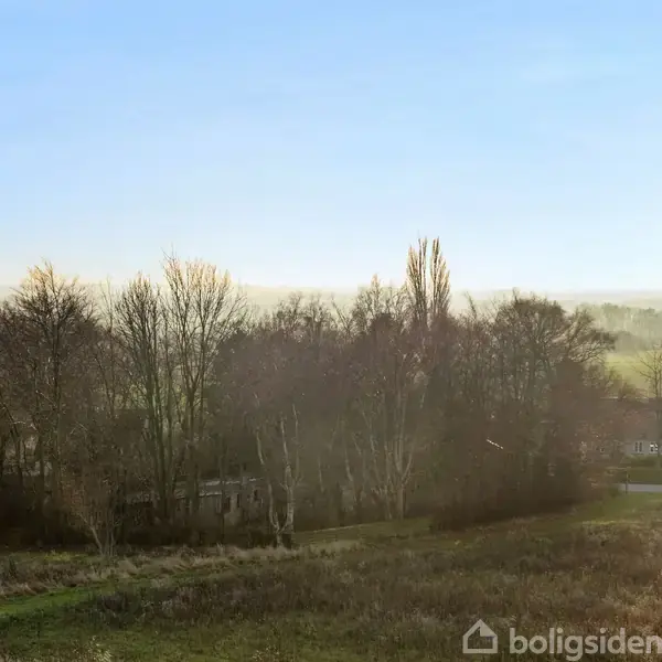En gruppe træer står stille i en lysning på en åben mark. I baggrunden ses et hus omgivet af mere landlandskab under en klar, blå himmel.