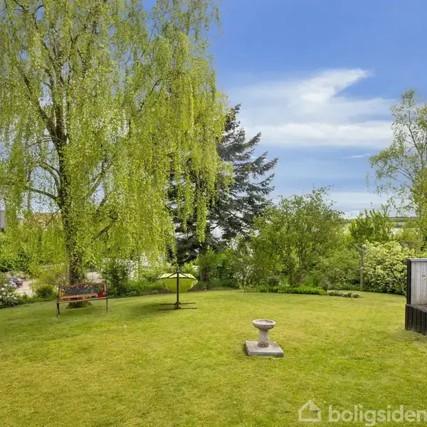 En grøn græsplæne med træer hænger lavt. En fuglebad står i midten. I baggrunden ses buske og et træhus til højre. Himlen er blå.