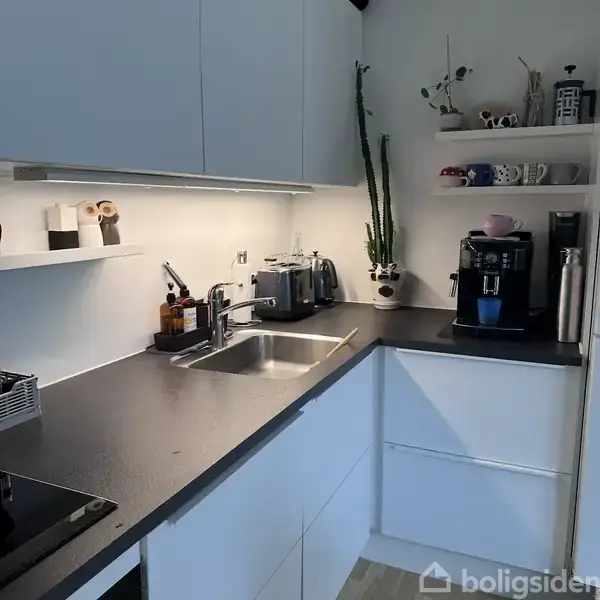 Køkkenbord med vask og armatur, skaber hyggeligt madlavningsområde med kaffemaskine, brødrister og planter. Kopper og dekorative genstande står på hylder, hvilket skaber en personlig atmosfære.