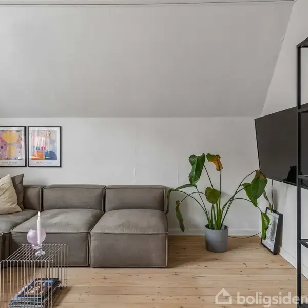 Gråt sofaarrangement står i et lyst rum med trægulv, flankeret af en stor potteplante og en væghængt fladskærm. To kunstplakater hænger på væggen, og reolen har bøger og pynt.