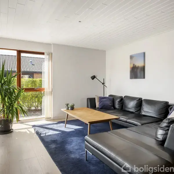 Sort lædersofa står i en lys stue. Et lille træsofabord og en lampe er placeret på et blåt tæppe. Store vinduer giver udsigt til have.