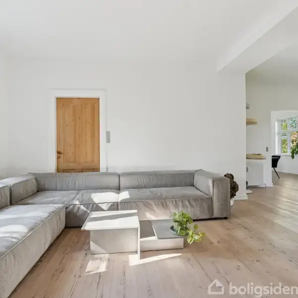 Grå hjørnesofa står i et lyst rum med trægulv, tæt på et lille bord og en plante. Der er en trædør til venstre og åbning til et andet rum.