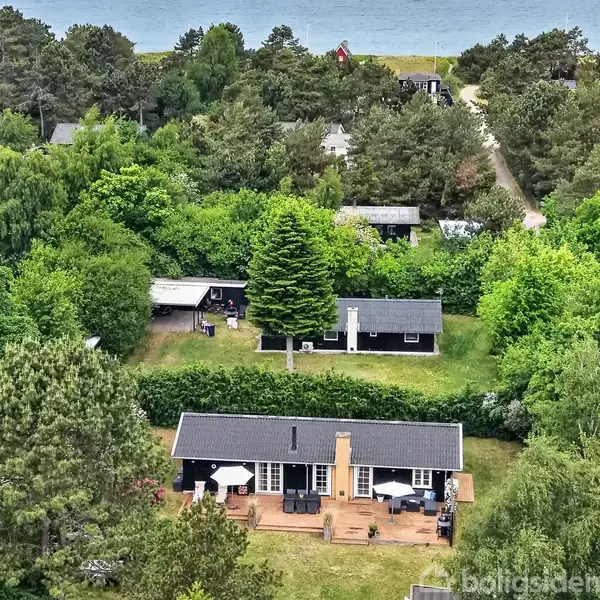 Flere sorte træhuse med hvide vinduer ligger omgivet af tæt, grøn skov. Et højt grantræ står i midten af billedet. Der er en carport og en grusvej i baggrunden.