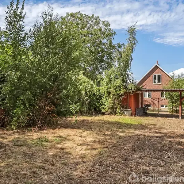 Hus står stille på en grund med tørret græs, omgivet af tætte grønne træer. Et skur med et fladt tag er ved siden af huset under en blå himmel med skyer.